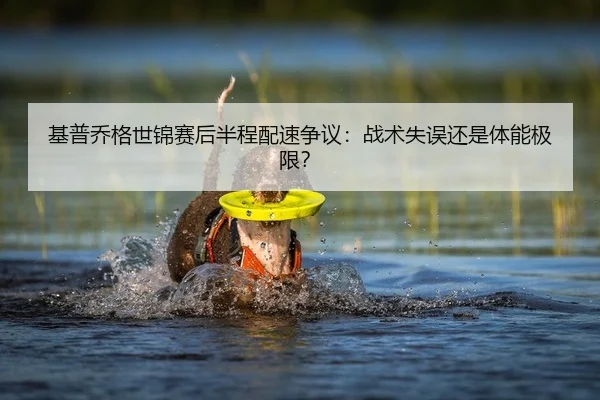 基普乔格世锦赛后半程配速争议：战术失误还是体能极限？